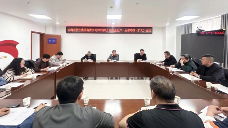 集團召開2025年2月份安全生產(chǎn)、生態(tài)環(huán)保（擴大）會議